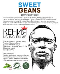 Kenya Ngunguru AB